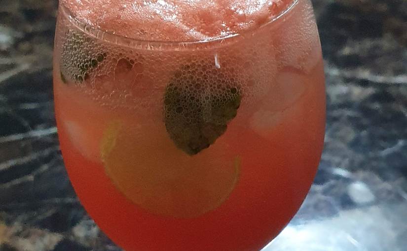 Watermelon & Ginger Ale Mocktail